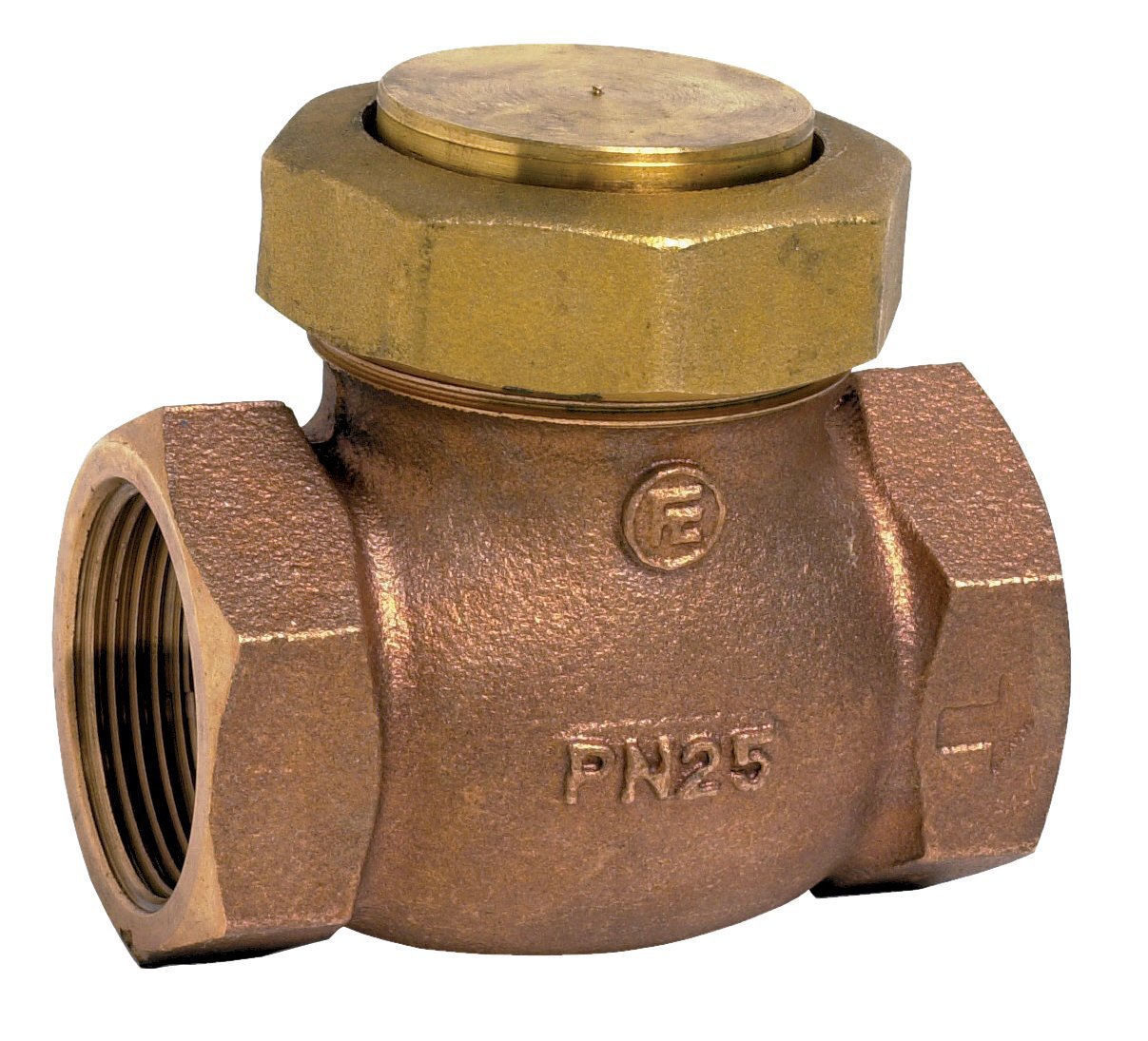 3500 - Clapet anti-retour à soupape à levée verticale inox/i
